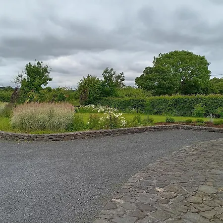 Conveniently Located House To Enjoy Of Kerry * Tralee